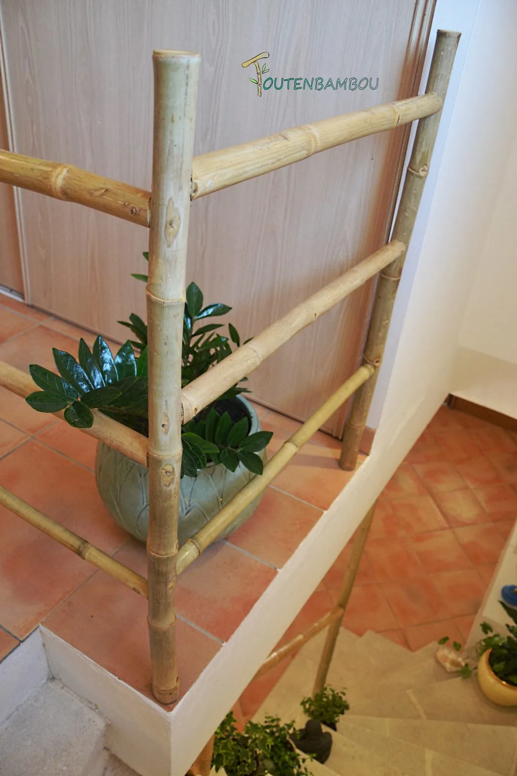 Rambarde en bambou au pied d'un escalier, avec une plante